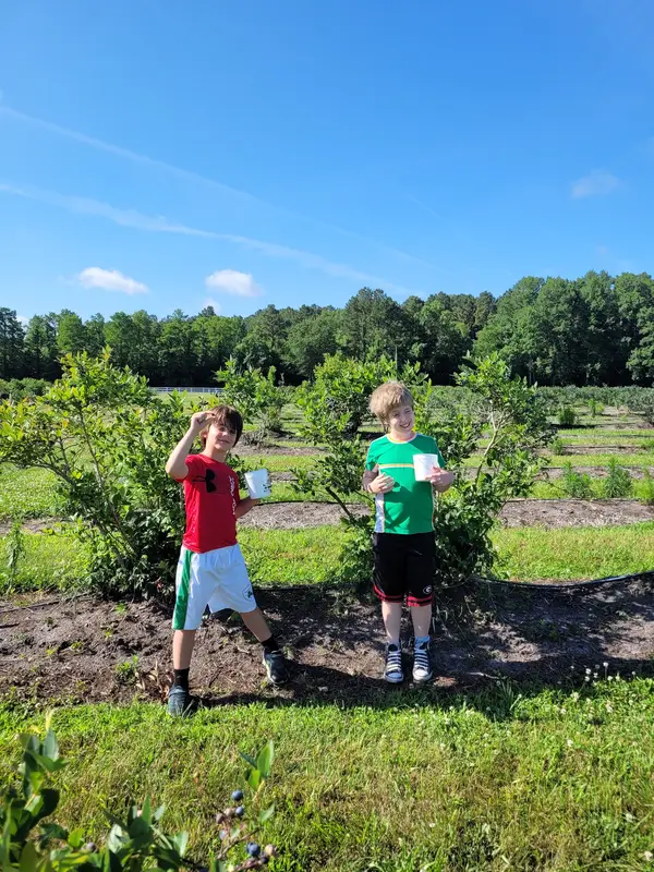 Kingsley Orchards, Frankford, DE