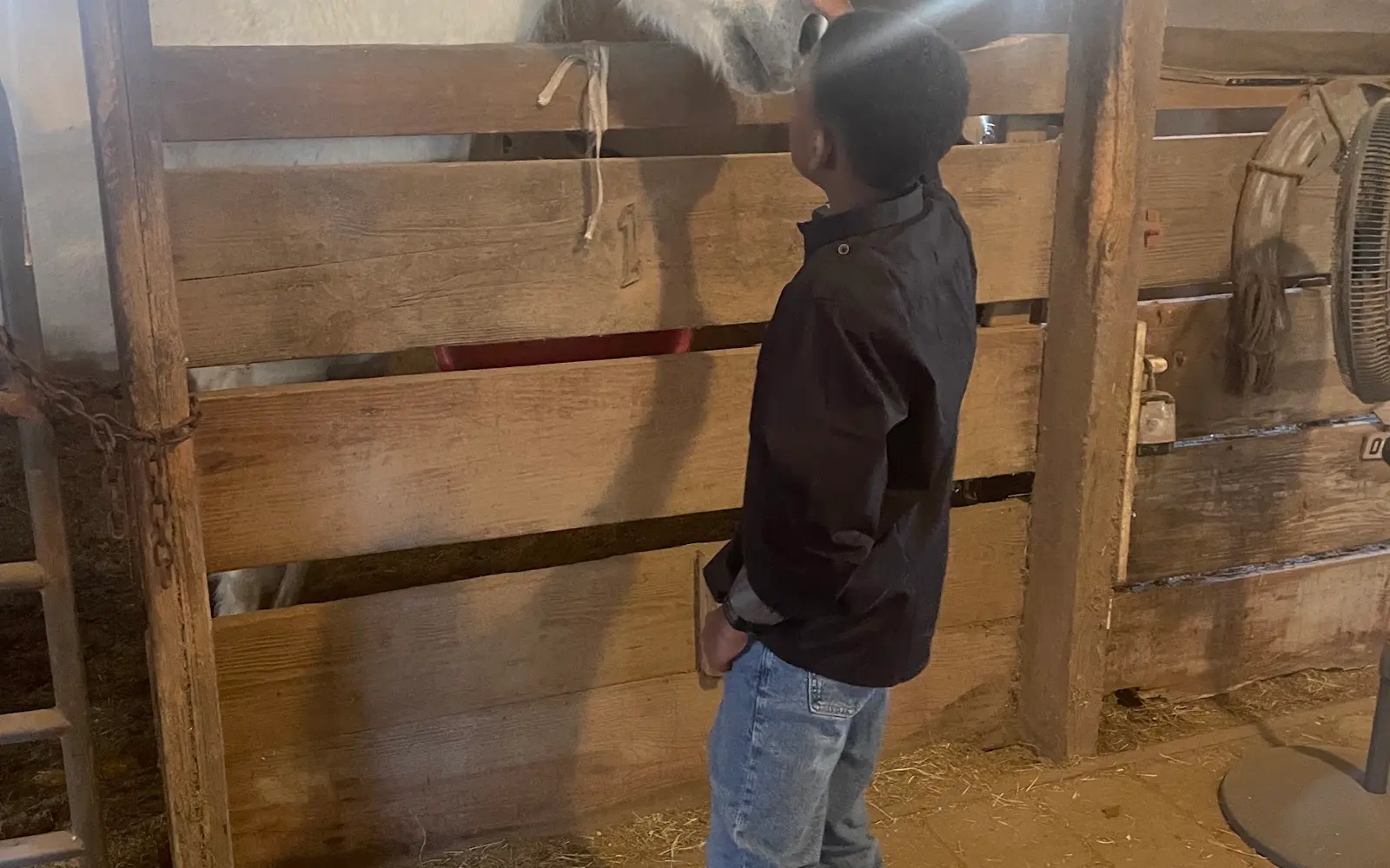 Klassic Stables