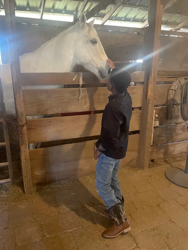 Klassic Stables, photo 4
