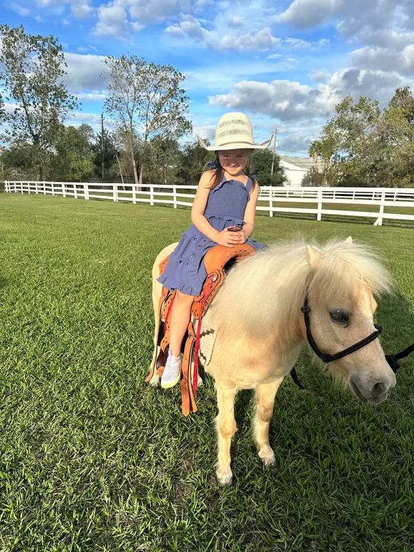 Klassic Stables, photo 1