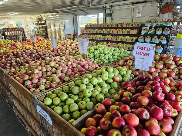 Knob Creek Orchard, Lawndale, NC