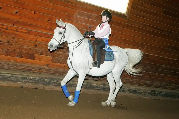Knollwood Farm