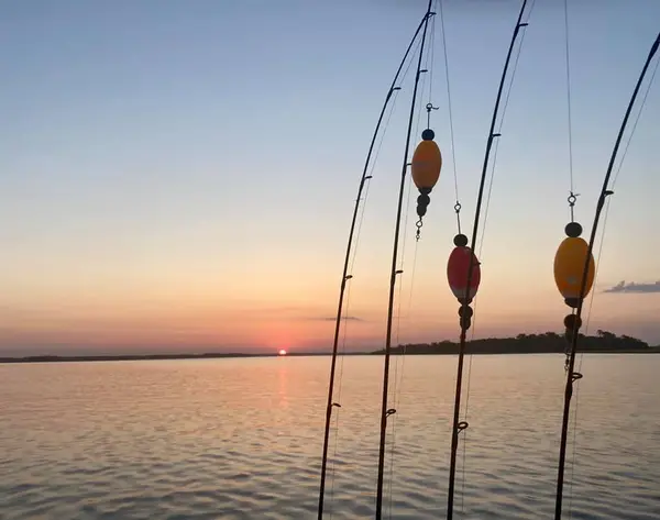Knot Stressed Inshore Charters, Mt Pleasant, SC
