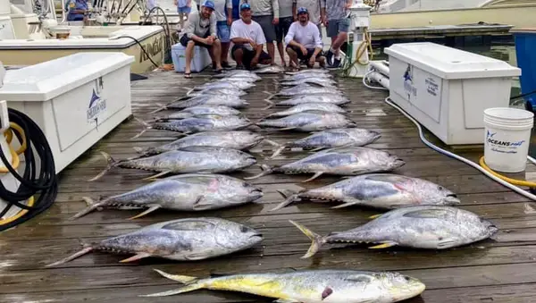 Knot Tell'n Fishing Charters, Virginia Beach, VA