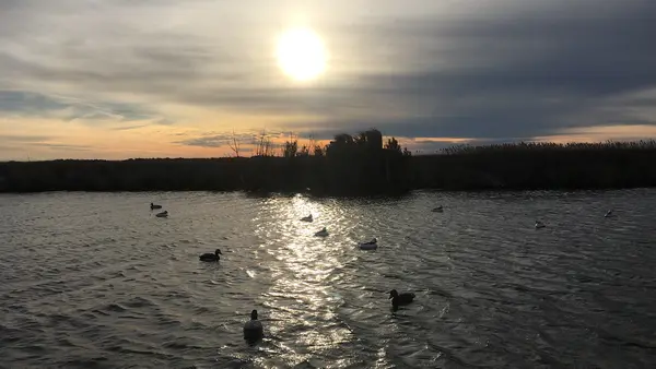Know Limits Waterfowl OBX