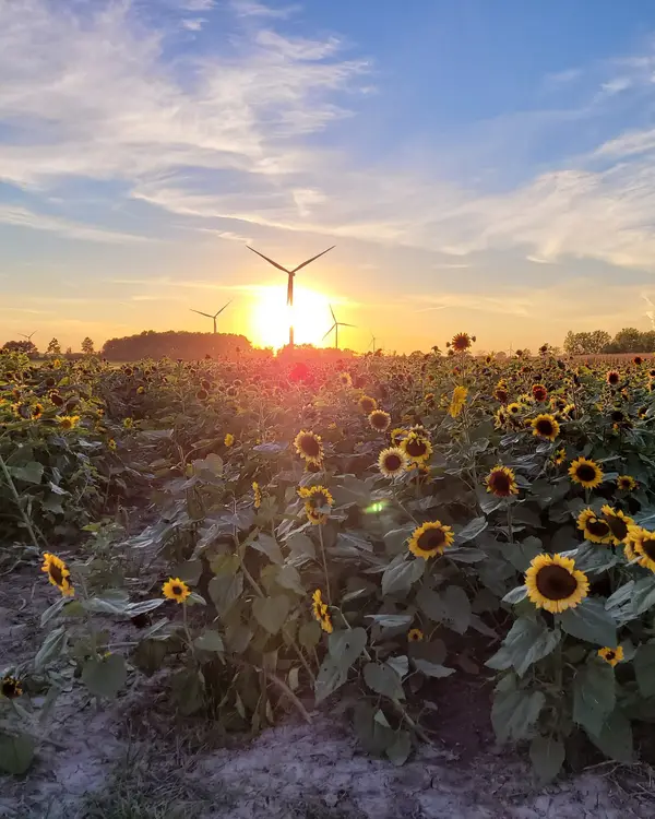 Kohl Farms, Unionville, MI