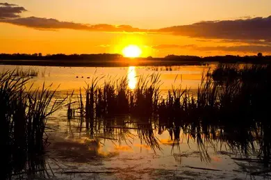 Kokomo Kayak Tours and Adventures, Slidell, LA
