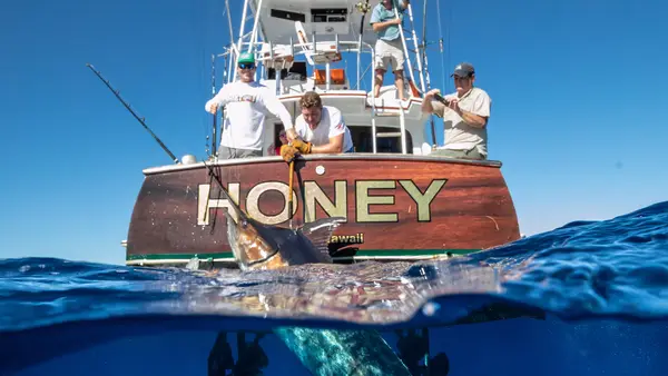 Kona Sea Adventures, Kailua-Kona, HI