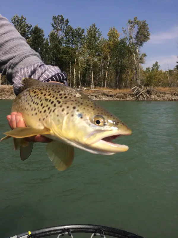 Kootenay Fly Shop & Guiding Co., photo 3