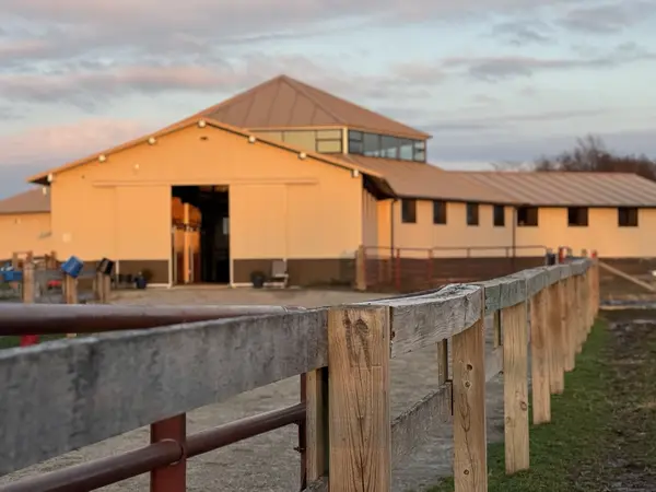 Koteewi Stable and Trails by Ben's Ranch Foundation