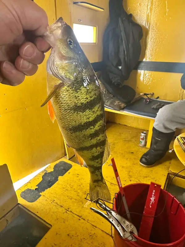 KS Lake Simcoe Ice Hut Rentals, photo 1