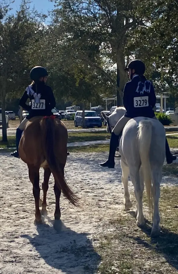 La Petite Cheval Farm, photo 1