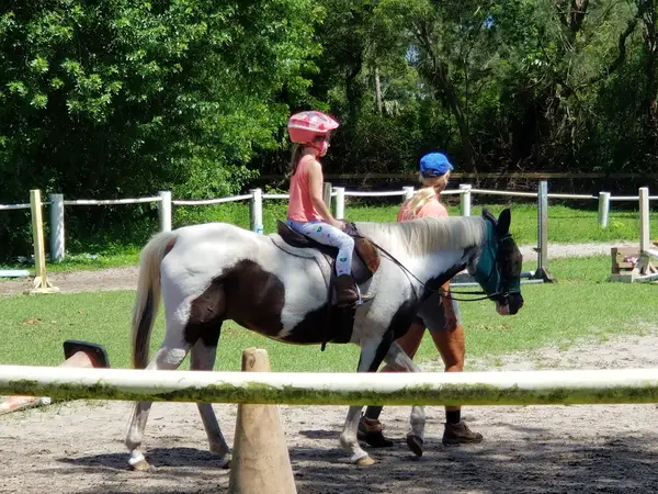 La Petite Cheval Farm, photo 2