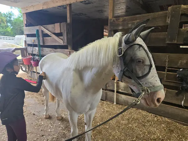La Petite Cheval Farm, photo 3
