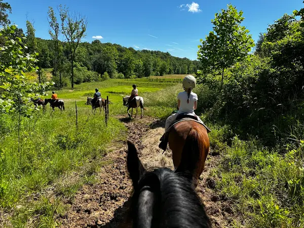 Lake of the Ozarks Trail Rides, Eldon, MO