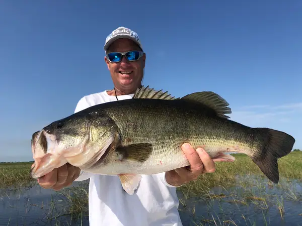 Lake Okeechobee Fishing Guide/Big Bass Charters LLC