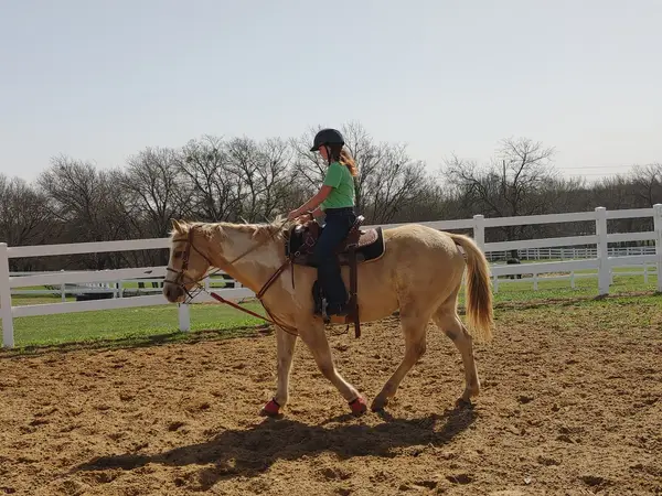 Lake Trail Stables, photo 1