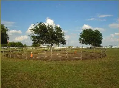 Lake Trail Stables, photo 3