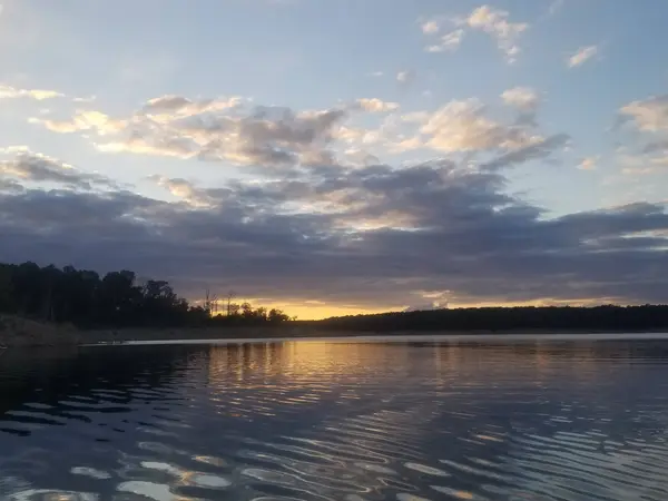 Lakeview Cove Marina