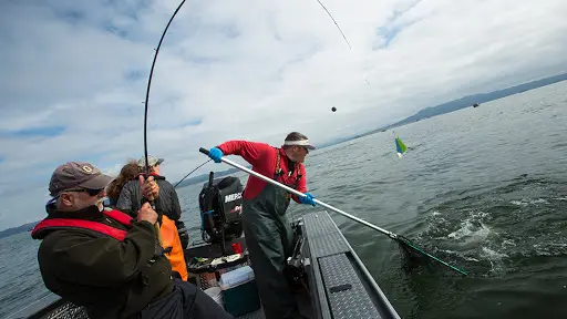 Lance Fisher Fishing, Astoria, OR