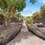 Off-Grid Multi-Building Estate - Rockwalls, Fruit Trees, Big Screened. Photo 4