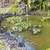 Motivated! Private 2 Bed Hm, Separate Guest Cottage, Ponds in HPP. Photo 5