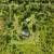 For Sale! Spacious 2-Acre Fenced, Multiple Structures & Fruit Trees!. Photo 2
