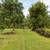 For Sale! Spacious 2-Acre Fenced, Multiple Structures & Fruit Trees!. Photo 6