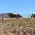 40 Acres Off GRID Land 2659 Duck Lake Rd, Heber Az., 85928. Photo 2