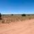 40 Acres Off GRID Land 2659 Duck Lake Rd, Heber Az., 85928. Photo 3
