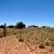 40 Acres Off GRID Land 2659 Duck Lake Rd, Heber Az., 85928. Photo 4