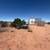 40 Acres Off GRID Land 2659 Duck Lake Rd, Heber Az., 85928. Photo 7