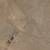 Very Competitively Priced 5 Acre Lot in Tierra Grande Subdivision Near. Photo 5