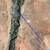 Very Competitively Priced 5 Acre Lot in Tierra Grande Subdivision Near. Photo 8
