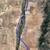 Very Competitively Priced 5 Acre Lot in Tierra Grande Subdivision Near. Photo 10