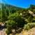 5.13 Acres on Laidlow Rd, Fort Garland, CO. Photo 5