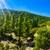 5.13 Acres on Laidlow Rd, Fort Garland, CO. Photo 6
