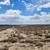 LAND FOR SALE!. Photo 7