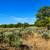 5.01 Acres in Fort Garland, CO – Power Nearby!. Photo 4