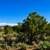 5.01 Acres in Fort Garland, CO – Power Nearby!. Photo 5
