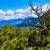 5.01 Acres in Fort Garland, CO – Power Nearby!. Photo 6
