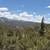Fort Garland CO Off-Grid Land, Memorial Day Sale, $8,800–$16,800 (Pow. Photo 2