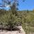 Fort Garland CO Off-Grid Land, Memorial Day Sale, $8,800–$16,800 (Pow. Photo 3