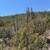 Fort Garland CO Off-Grid Land, Memorial Day Sale, $8,800–$16,800 (Pow. Photo 5