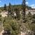 Fort Garland CO Off-Grid Land, Memorial Day Sale, $8,800–$16,800 (Pow. Photo 6