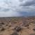 1 Acre of Land between Inca and Idalia in Rio Rancho. Photo 5