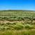 4.1 Acres Near Fort Garland, CO – Power & Road. Photo 5