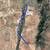 Five Acres Near Housing in Belen, NM. Photo 5