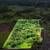 For Sale! 45 Acres Tentative Subdivision Approval 40 One-Acre Lots. Photo 6