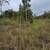 10.33 acres 3 separate parcels. Photo 4